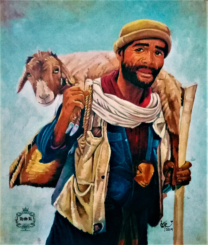 Shephred