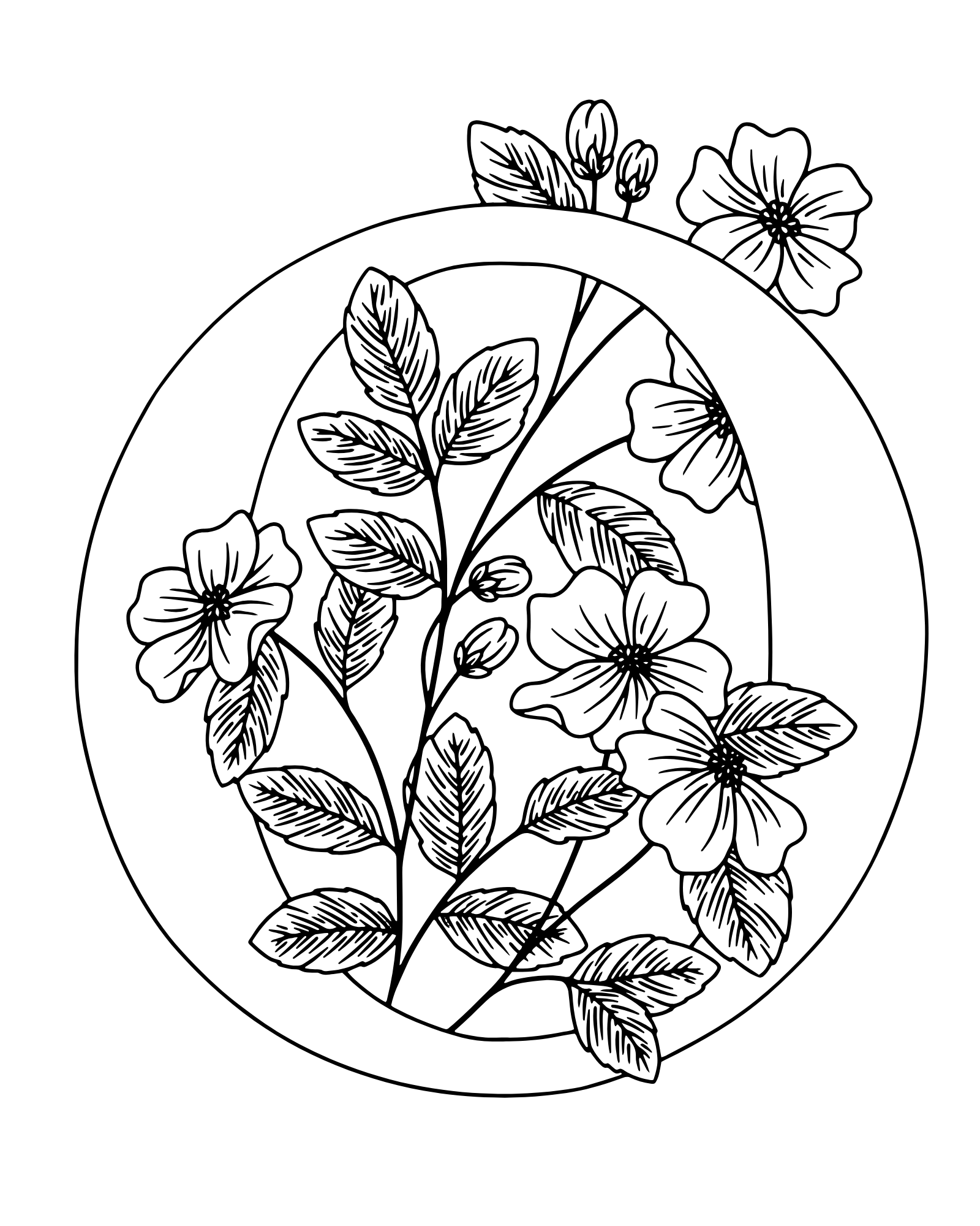 16 16